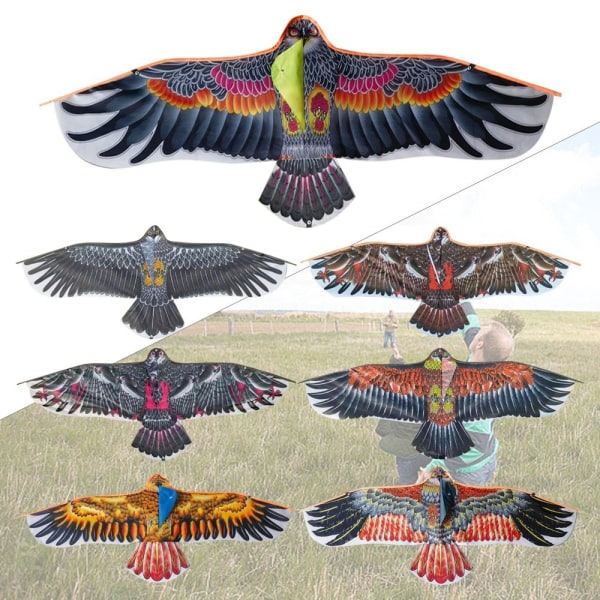 Eagle Kite Bird Drakar TYP B TYP B Type B