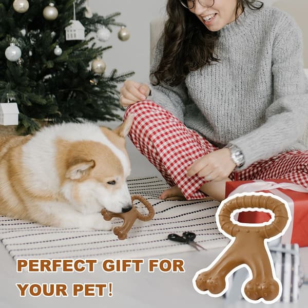 Dog Bone Interactive Dog Toy Bite