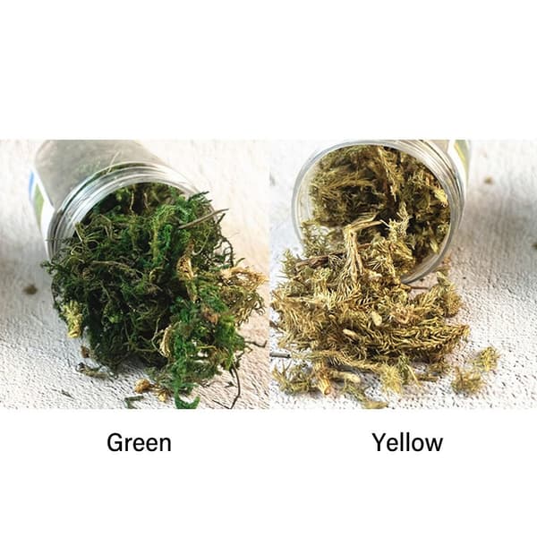 1 Box Simulated Bush Moss Miniature Static Plants VIHREÄ green