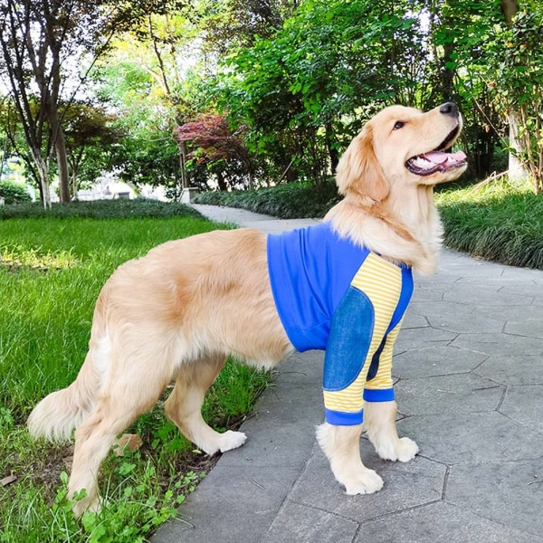 Hundkläder Pullover Kläder 7XL 7XL