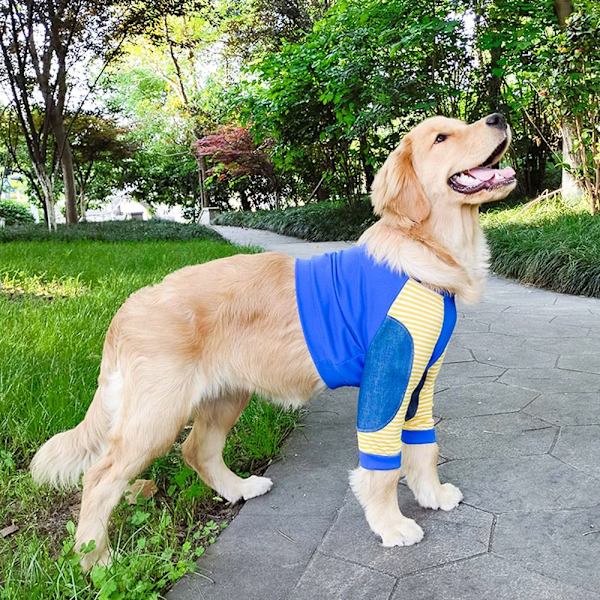 Hundkläder Pulloverkläder 5XL 5XL