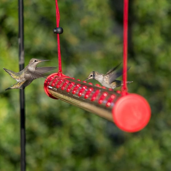 Hummingbird Mater Fugle Mater Humming Bird Feeder