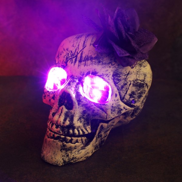 Skull Lamp Skull Head 1 1 1