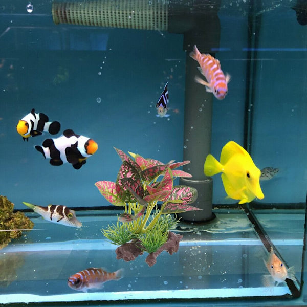 Fisketank Aquascape Ornament Simuleringsplantedekorasjon E E E