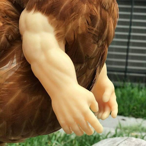 Chicken Arms Legetøj Dinosaur Arms 3 3 3