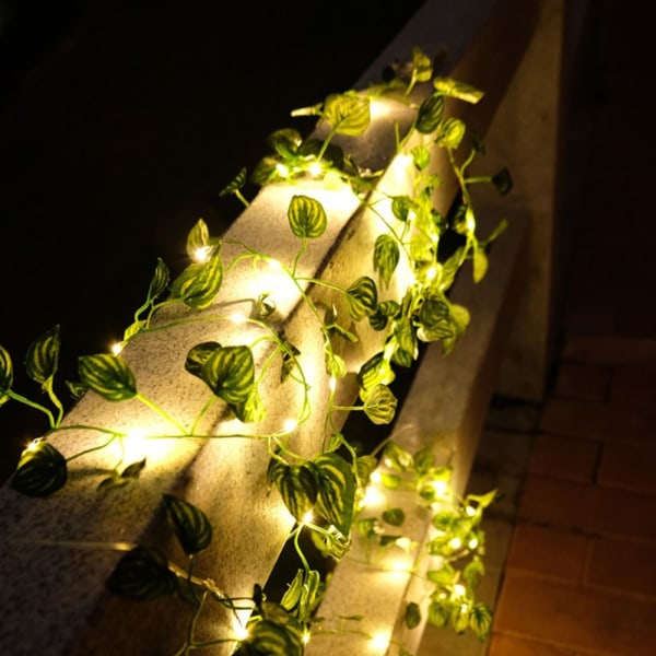 LED String Lights Fairy Lights 2MC C 2mC