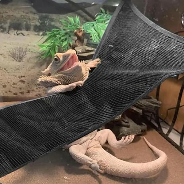 Reptile Hammock Lizard Hammock MUSTA Black