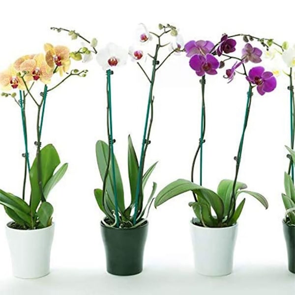 Garden Clips Orchid Clips 2 2 2