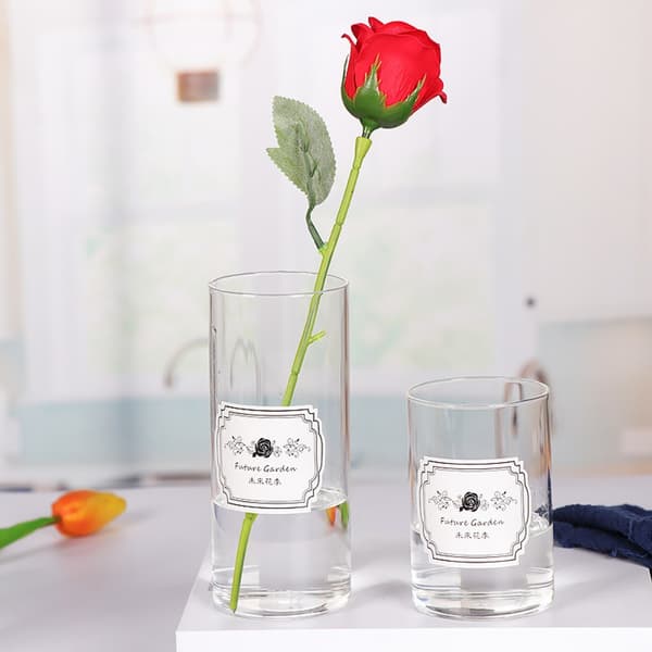 Cylindervaser Glasvas 8,5*15CM 8,5*15CM 8.5*15cm