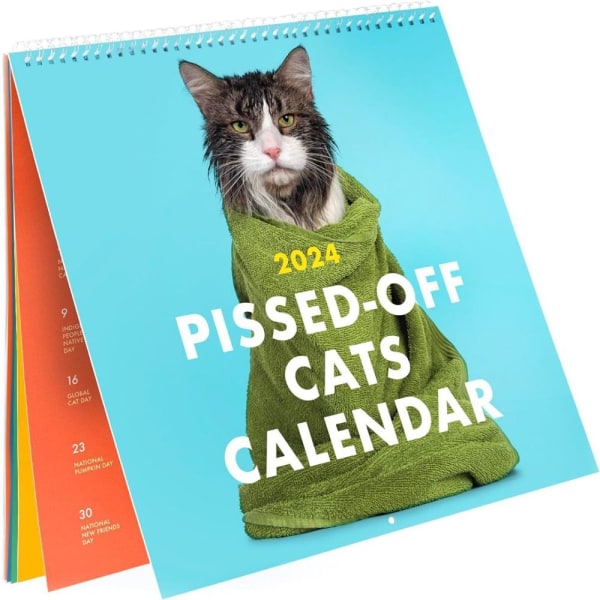 2025 Pissed-Off Cats Kalender Väggkalender Hängande Kalender