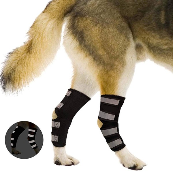1 Set Hundbandage Ben Knästöd XL XL