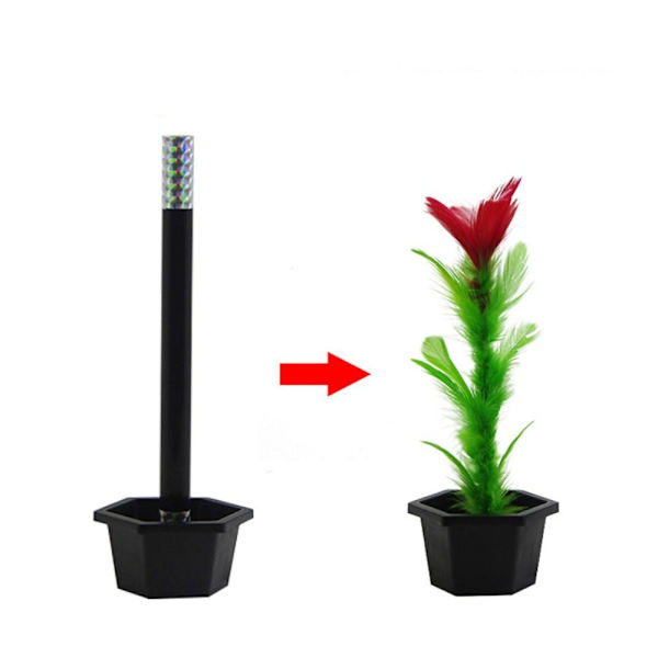 Tomma krukor producerar blommor Magic trick LITEN small