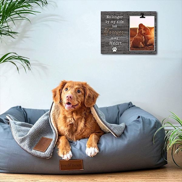 Hundesouvenir fotoramme Pet Memorial fotoramme D D