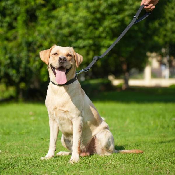 Kort Hundkoppel Trafikkoppel SVART black