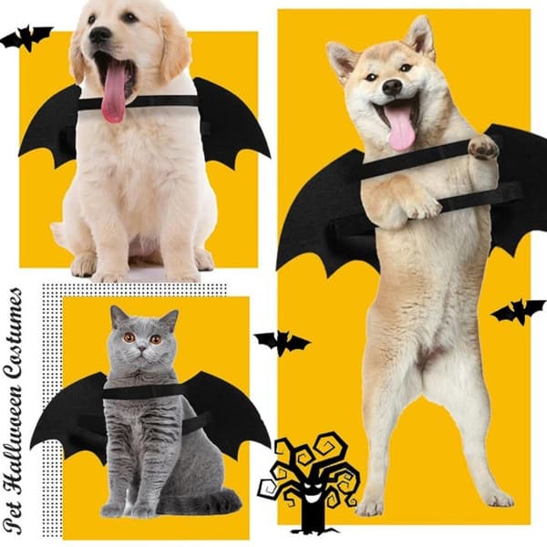 Glödande Bat Wings Pet Costume S S