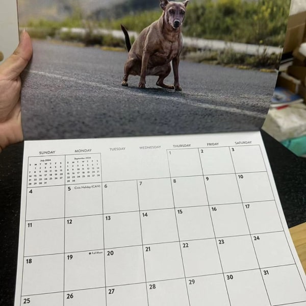 Rolig kalenderpresent 2024-kalender för hundbajsande kalender