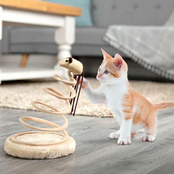 Springing Cat Toy Claw Scratcher 02 02 02