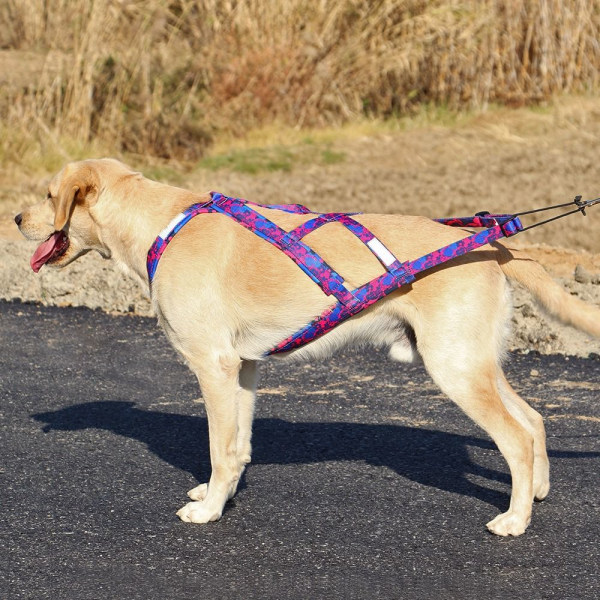 Hundesledesele Kjæledyrvekttrekkseler BLÅ XXL blue XXL