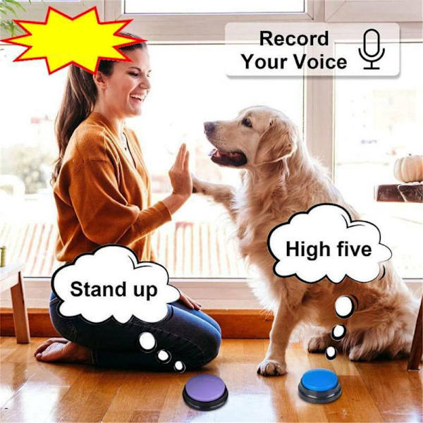 Pet Talande knappar Hund Inspelningsbara leksaker Hundträning yellow