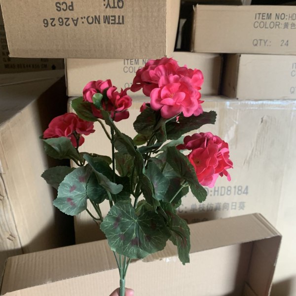 Tekokukka Begonia Flower 6 6 6