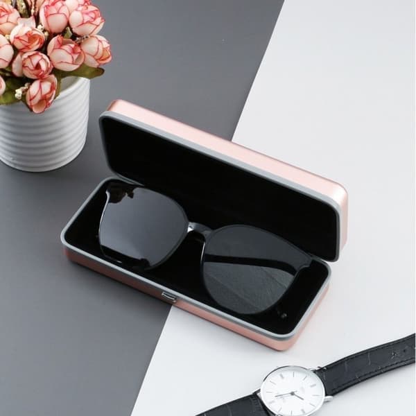 Case Glasögonförvaring SILVER silver