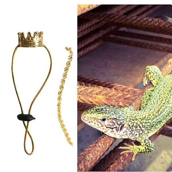 Lizard Ornament Pet Hat SORT FAST BETALING FAST BETALING Black Fixed payment-Fixed payment