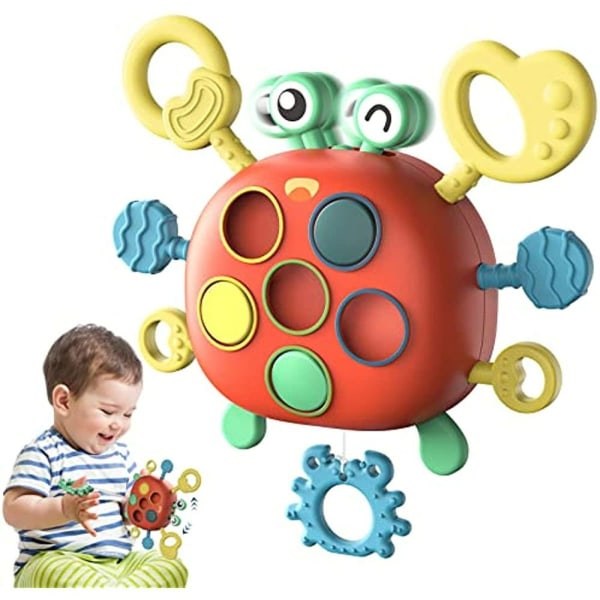 Krabba Sensorisk leksak Montessoris leksak Stretchleksak för tidig utbildning Random Color