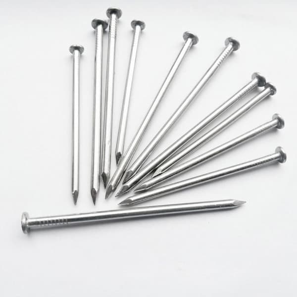 280st Naglar Sortiment Flat Head Nails Väggsticks Pins