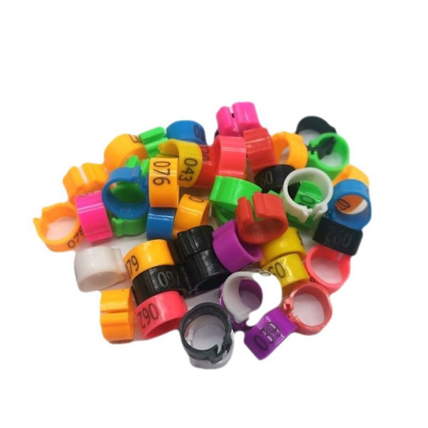 Due Ringe Due Fugle Clip Ringe MULTICOLOR Multicolor