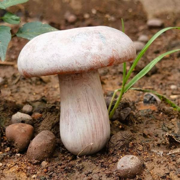 Resin Mushroom Patsas Sienikoristeet C C C