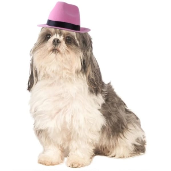 Pet Dog Cowboy Hat Hund Kepsar ROSA Pink