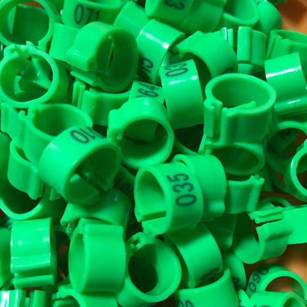 Due Ringe Due Fugle Clip Ringe GUL Yellow