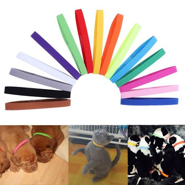 15PCS ID ID Collars Valp ID Collar Pet Supplies M-10x300mm