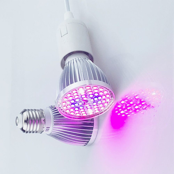 Plant Grow Light Glödlampa Grow Lights