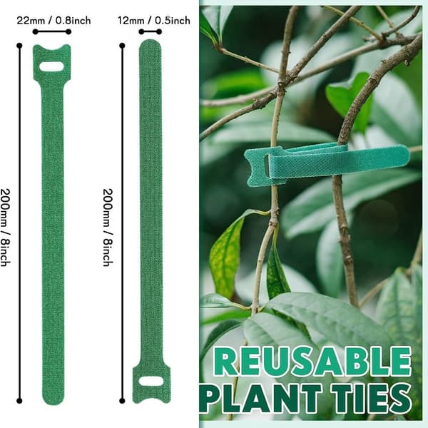 Hageslips 8INCH 8inch