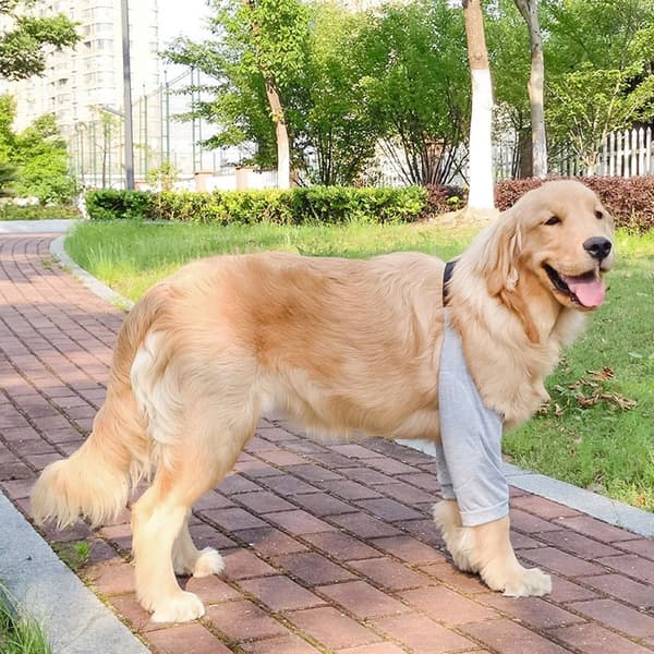 Hundkläder Pulloverkläder XL1 1 XL1