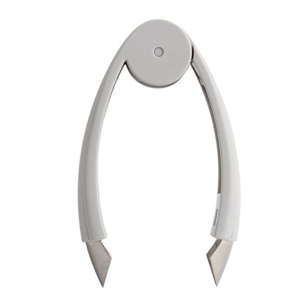 2kpl Ananas Corer Fruits Slicer GRAY Gray