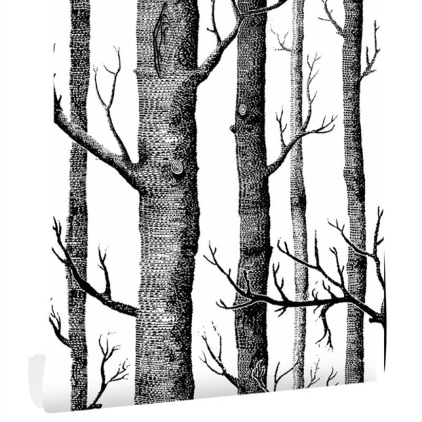 Birch Tree Tapet Skræl og Stick Trunk Sort og Hvid