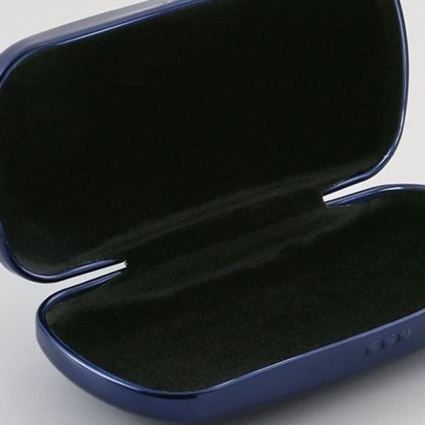 Case Case LARGE SILVER 2 LARGE SILVER 2 large silver 2