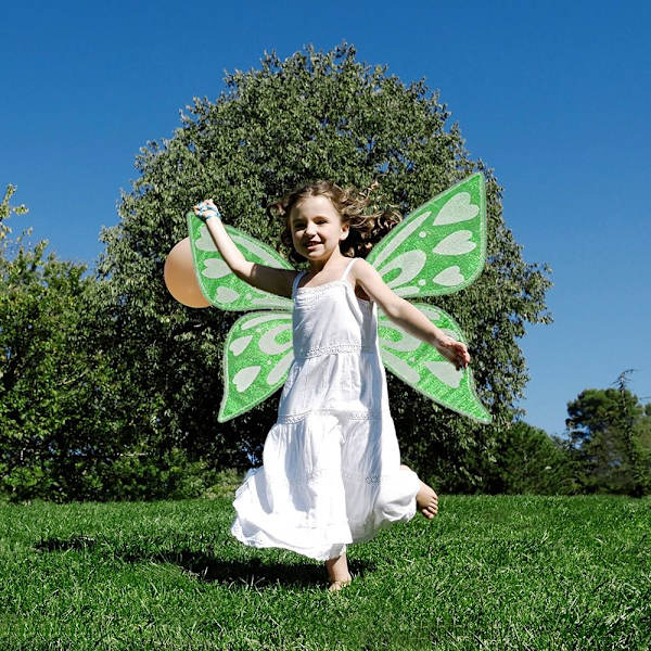 Fairy Butterfly Wings Fairy Elf Princess Angel SORT SORT Black