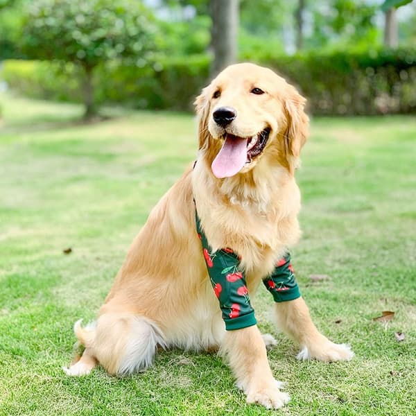 Hundeklær Pulloverklær XL7 7 XL7