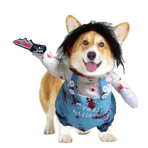 Halloween kattkläder hunddräkt L L