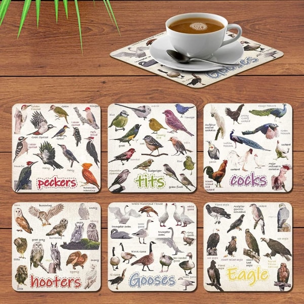 Set med 6 Bird Pun Coasters Roliga glasunderlägg för drinkar AKRYL Acrylic