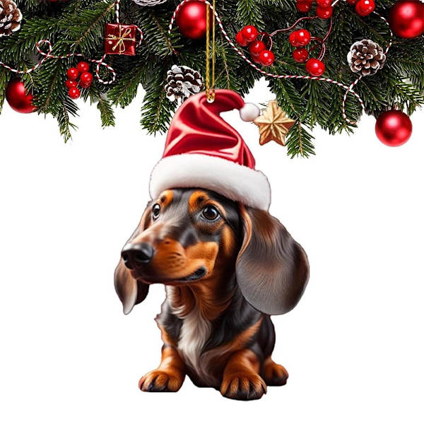 Häxhatt Hundhänge Hund Julgransprydnad B B B