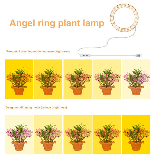 Grow Light Ring Lampe 1 RING 1 RING 1 Ring