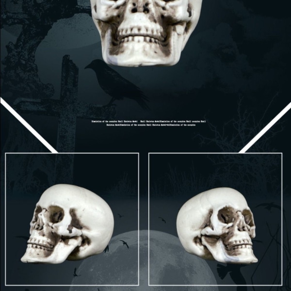 Skull Head Skull Decor 7 7 7