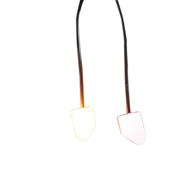 Bil Blind Spot Detection System Prompt Light 12VB B 12VB
