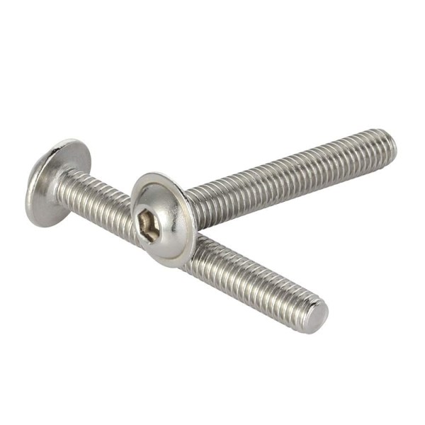 25 STK fatningshætte skruer sekskantet sekskant socket bolt unbraconfatning 25PCS