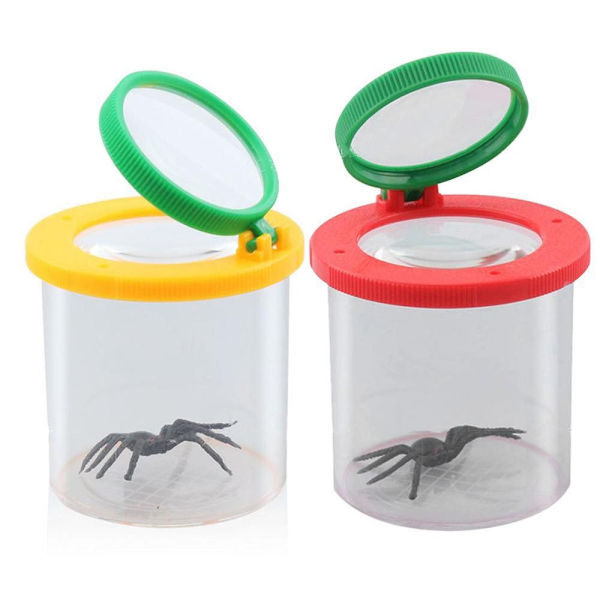 Insektslåda förstoringsglas 05 05 05