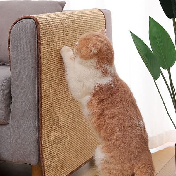 Cat Scratch Protect Mat Cat Kaavin 40X60 40X60 40x60